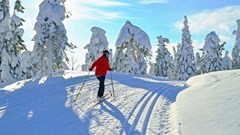 Rét kỉ lục khiến hàng nghìn du khách mắc kẹt tại Lapland