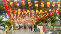 Vì sao ngày càng nhiều người chọn du lịch dịp Tết?