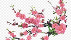 Thơ Tết của Bác