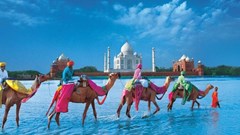 Ấn Độ chuyển sang khai báo nhập cảnh online, khách Việt cần làm gì?