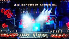 Vì sao Lễ hội Hoa Phượng Đỏ ngày càng hút khách?