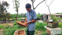 Những người lính gieo mùa ấm no