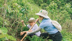 Phát động Chương trình Rừng xanh lên năm 2024 