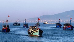 Đề xuất lắp đặt VMS đối với tàu cá có chiều dài từ 12 m đến 15 m