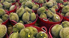 Khi nông sản là thương hiệu...