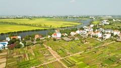 Bài cuối - Đừng quên bản sắc “làng”!