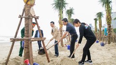 Quyết tâm xanh hoá của Đà Nẵng