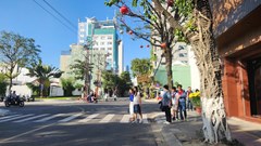 Đà Nẵng “dịu dàng” đón Tết