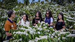 Đắk Lắk phát triển du lịch từ chiều sâu sản phẩm