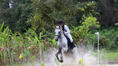 Lâm Đồng: Hấp dẫn giải đua ngựa có giá trị giải thưởng 1.5 tỉ đồng