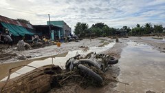 Hồ nước bị vỡ ở Lâm Đồng không có trong hạng mục dự án được cấp phép