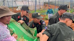 Lâm Đồng: Một người tử vong do sạt lở đất khi đang làm vườn