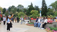 Lâm Đồng: Doanh thu ​từ du lịch dịp Tết Dương lịch đạt 1.200 tỉ đồng