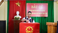 Lâm Đồng: Hơn 2,7 triệu cử tri đi bầu cử