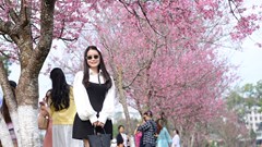 Những trụ cột kinh tế nào tạo động lực tăng trưởng 2 con số cho Lâm Đồng