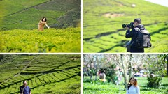 Đồi chè Cầu Đất, từ nông trường chè của người Pháp đến điểm check in “siêu hot” tại Đà Lạt