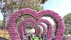 Lâm Đồng triển khai chương trình kích cầu du lịch năm 2026, thu hút gần 40 doanh nghiệp 