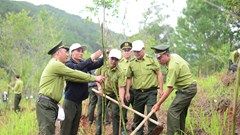 Lâm Đồng: Trồng mới 1.000 cây xanh tại Khu du lịch quốc gia hồ Tuyền Lâm