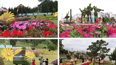 Festival Hoa Đà Lạt lần thứ 11: Bản giao hòa của sắc hoa và âm nhạc