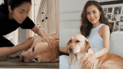 Khoảnh khắc nhớ mãi của Tăng Thanh Hà 