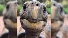 Con vật già nhất hành tinh