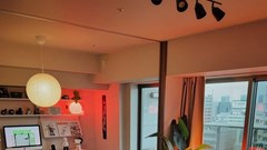 Độc thân và có vàng: Tóm tắt tuổi 36!