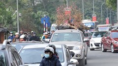 Về quê ăn Tết, chở đào, quất trên nóc ô tô con có bị phạt không?