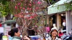 Cập nhật mới nhất thời tiết cả nước đêm Giao thừa và mùng 1 Tết Bính Ngọ 2026, xem ngay kẻo lỡ kế hoạch du xuân