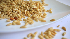 Loại hạt “tí hon” nhưng là “gã khổng lồ” dinh dưỡng, tốt cho tim mạch, chống lão hóa và bảo vệ mắt, ở Việt Nam rụng đầy gốc nhưng ít ai ăn