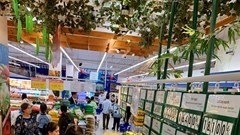  Bác sĩ Bệnh viện Bạch Mai giải thích lý do ăn nhiều rau nhưng tôi vẫn bị táo bón