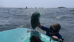 Hơn 1.500 người lên rừng xuống biển nhặt rác, chung tay xây dựng điểm đến du lịch xanh Sơn Trà