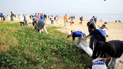 Sôi động Ngày hội môi trường biển “Biển cần bạn – bạn cần biển”