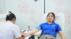 Hơn 700 sinh viên hiến máu tình nguyện, sẻ chia yêu thương