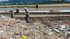 Đà Nẵng xử phạt 4 doanh nghiệp vi phạm môi trường