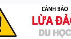 Cảnh báo tình trạng giả mạo thông báo du học để lừa đảo 