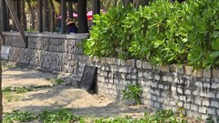 Xả thải gây mùi hôi ven biển, một resort ở Đà Nẵng bị phạt hơn 224 triệu đồng