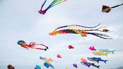 Mùa hè Đà Nẵng rực rỡ với “Sắc màu trên không”