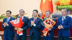 Chủ tịch UBND TP Đà Nẵng xin nghỉ hưu trước tuổi