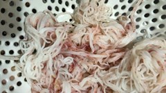 Tạm dừng cơ sở sản xuất sau phản ánh bún tươi đổi màu bất thường