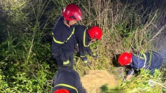 Du khách tử vong khi nhảy dù ở bán đảo Sơn Trà