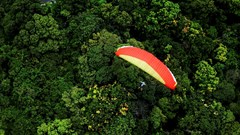 Tạm dừng hoạt động bay dù lượn tại bán đảo Sơn Trà