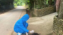 Chó dại cắn liên tiếp 5 người, 3 nạn nhân là trẻ em