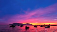 Khám phá chợ hải sản lúc bình minh bên bờ biển Đà Nẵng