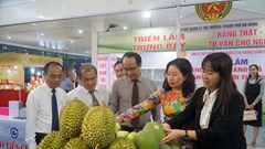 Hơn 350 gian hàng tham gia Hội chợ Quốc tế EWEC - Đà Nẵng 2025