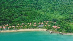 Xử phạt Công ty CP Sơn Trà 366 triệu đồng vì vi phạm môi trường và an toàn thực phẩm