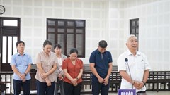 Nguyên Giám đốc Cảng vụ Hàng hải Quảng Nam lĩnh 21 tháng tù vì lập khống hồ sơ