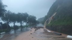 Tạm dừng tham quan bán đảo Sơn Trà do ảnh hưởng bão số 10