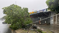 Giải cứu 6 người trong ô tô bị cây xanh đè, nhiều tuyến đường sạt lở do bão số 10