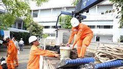 Khẩn trương khắc phục sự cố điện Quảng Trị, Hà Tĩnh sau bão số 10