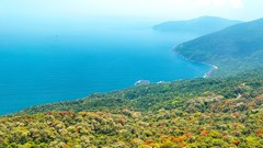 Mở cửa tham quan bán đảo Sơn Trà từ hôm nay